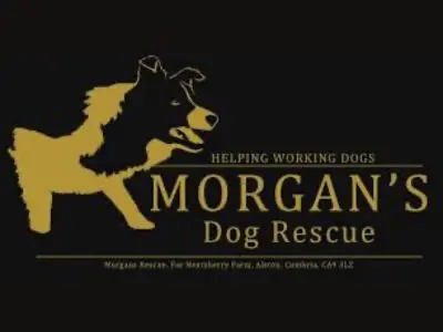 Morgan's Dog Rescue logo